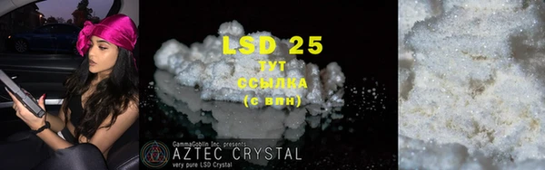 PSILOCYBIN Алзамай