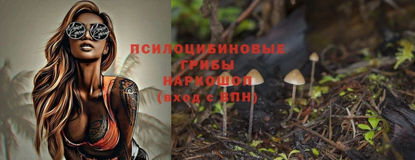 PSILOCYBIN Алзамай