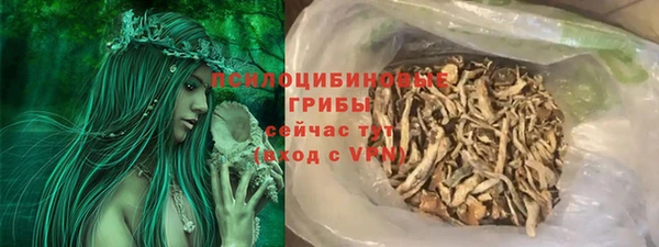 твердый Аркадак