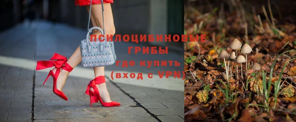 прущие крисы Алексеевка