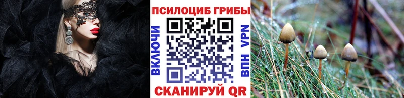 Галлюциногенные грибы Cubensis  Ахтубинск 